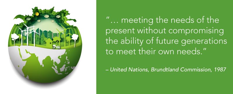 22_Blog_World Environment Day quote_800x322