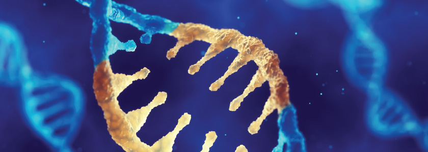 The hype behind gene editing: Myth busting CRISPR hero image