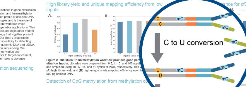 Identification of symmetric methylation and hemimethylation patterns hero image
