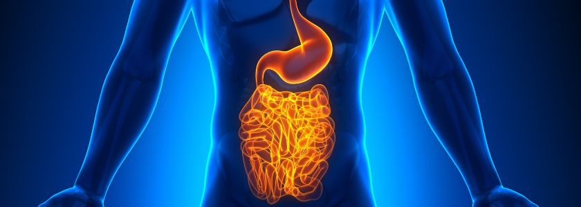 Identifying cancer indicators in gut health hero image