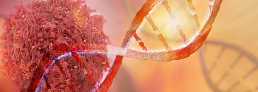 Prime editing, still new on the CRISPR scene, targets liver cancer hero image