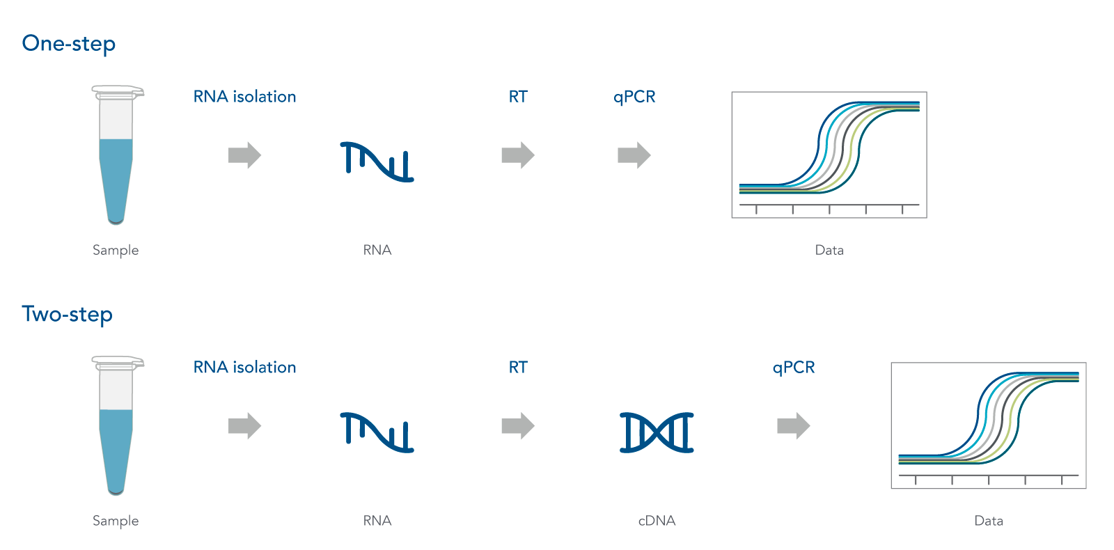 Starting With RNA—One‑step Or Two‑step RT‑qPCR? | IDT