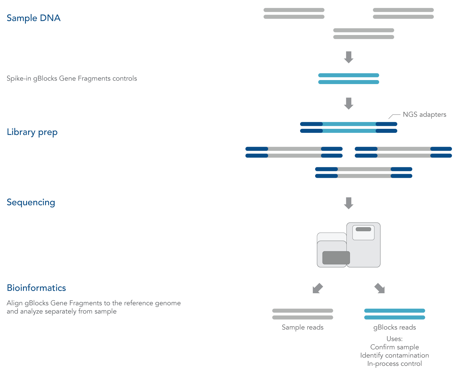 gBlocks Gene Fragments are spiked into a next generation sequencing workflow. 