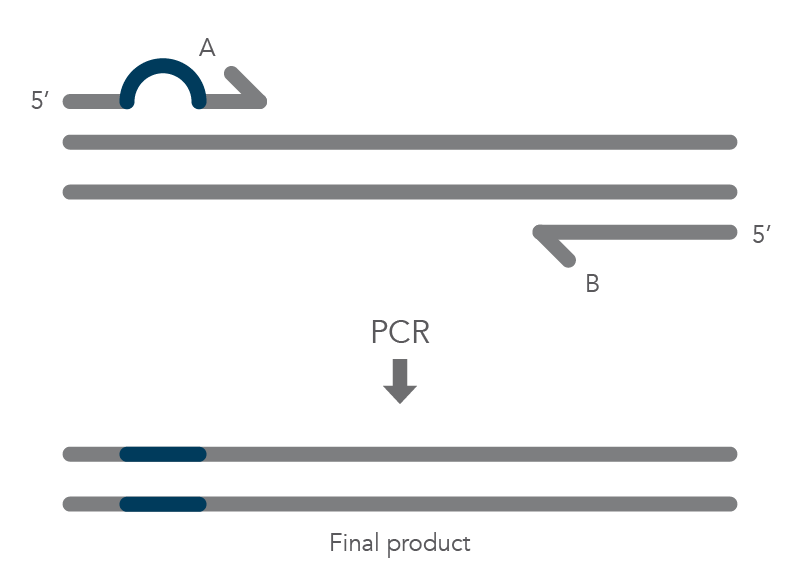 Why Is My White Primer Pooling/Why Can't I Get Solid Coverage? : r