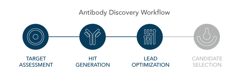 Antibody discovery workflow