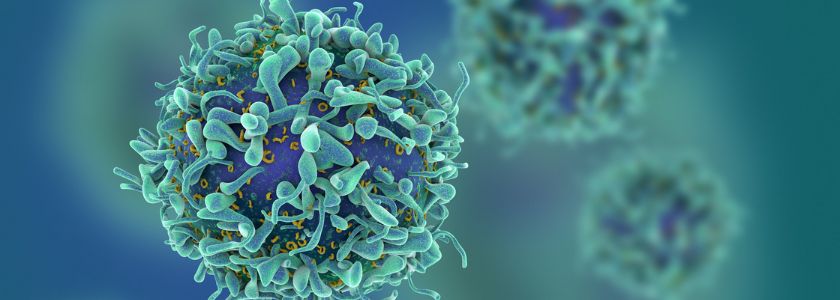 CRISPR news: Cancer immunotherapy gets a boost from a knockout that reversed T cell exhaustion hero image