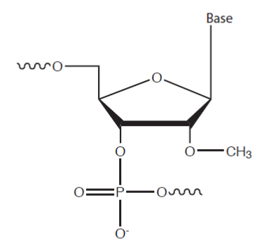 D-FG13CC-modulatenoncoding-F2 D-FG13CC-modulatenoncoding-F2