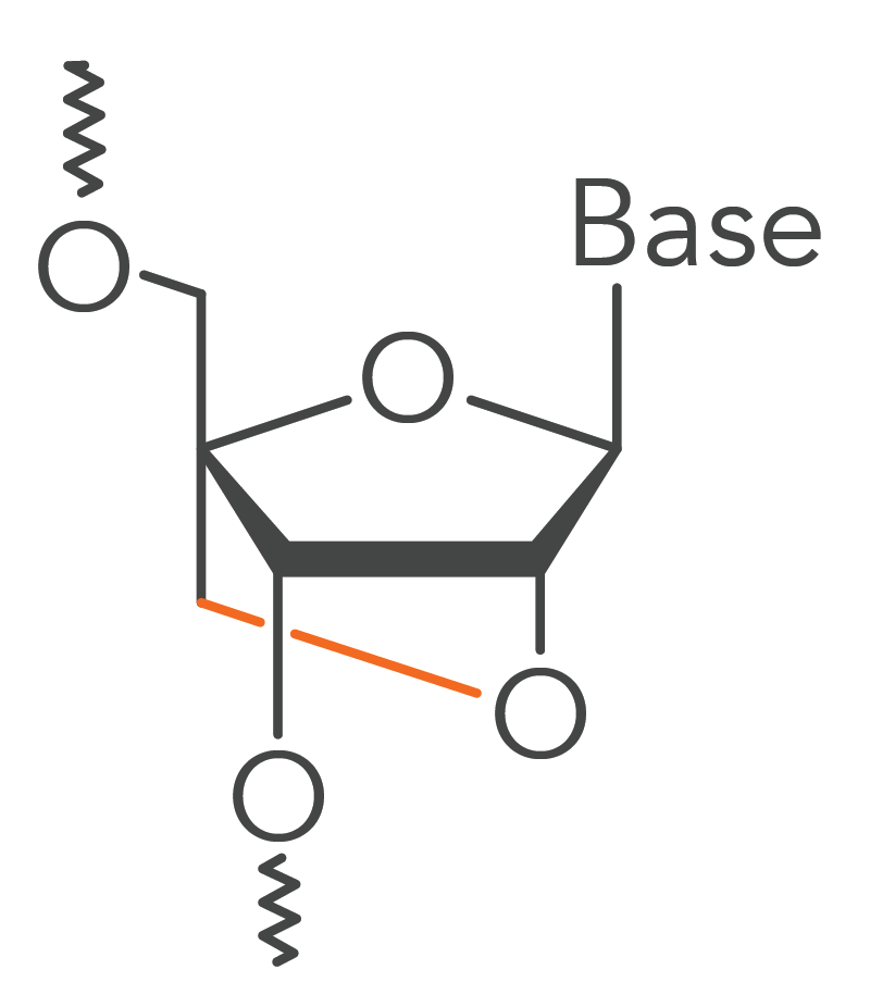 A locked nucleic acid base