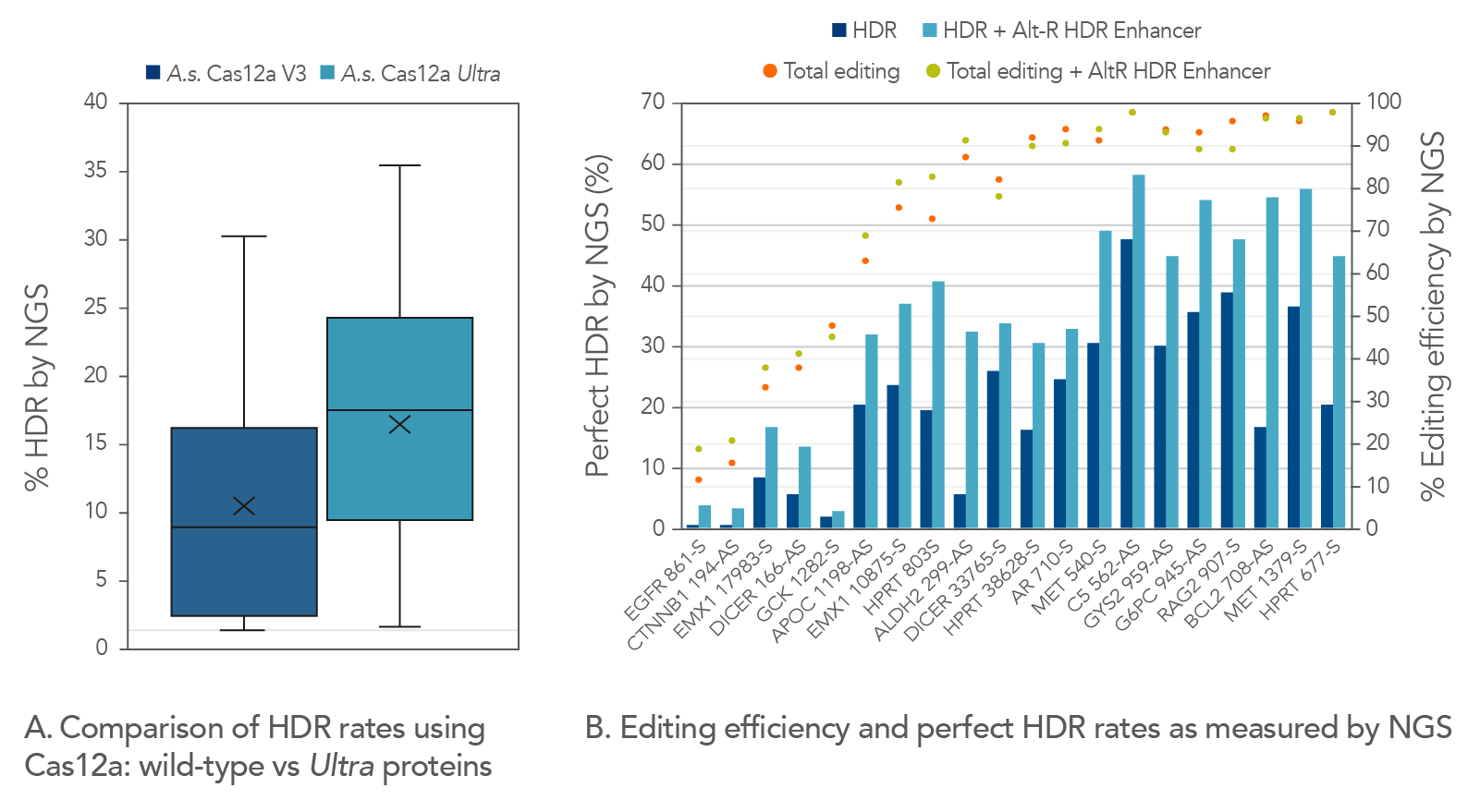 High HDR rates with Alt-R Cas12a Ultra protein and HDR Enhancer