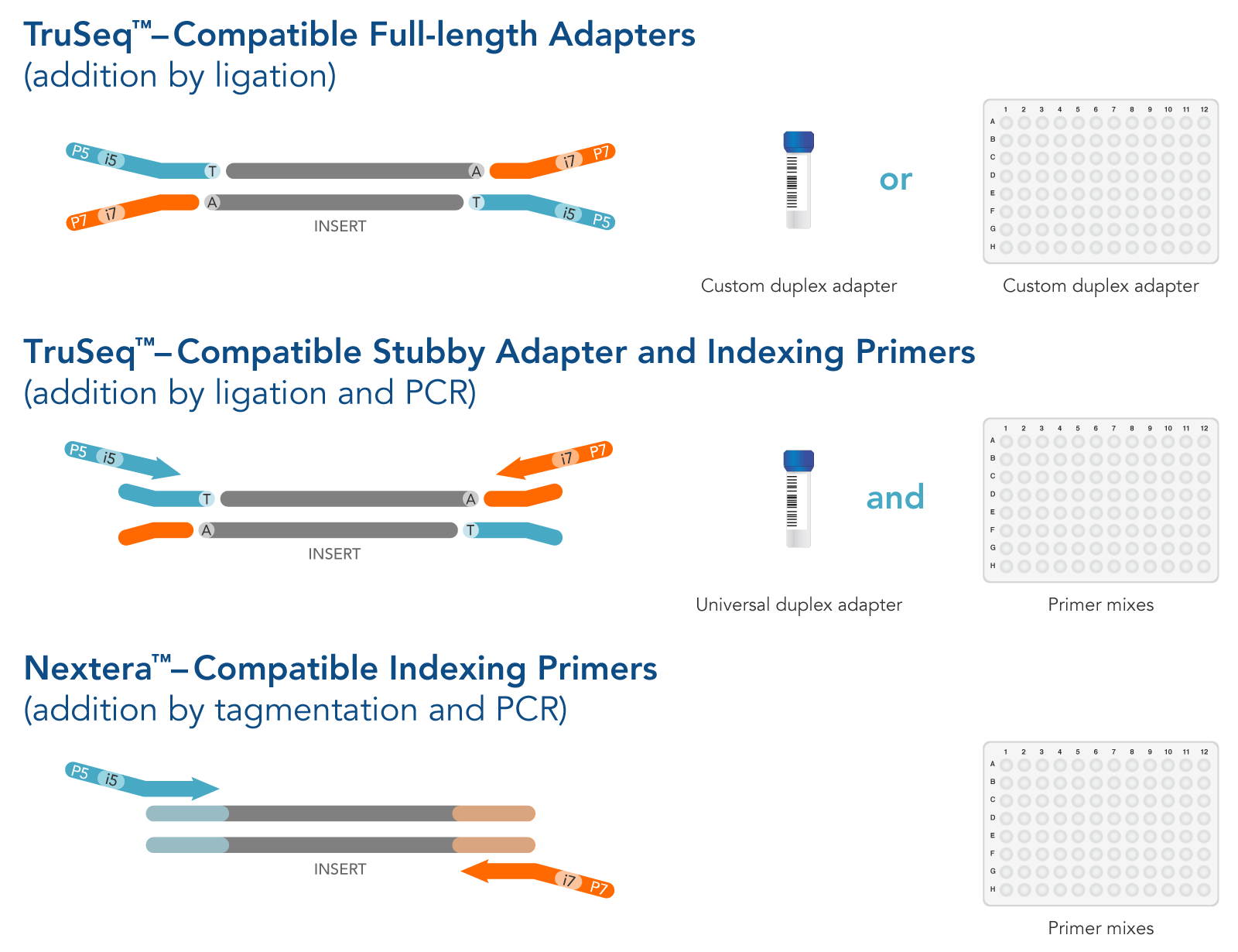 NGS adapter structures NGS adapter structures