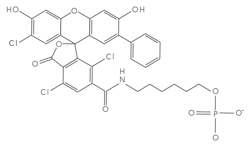 20_QP_Figures_DECODED_SUN_Fig 1 SUN fluorophore molecular structure