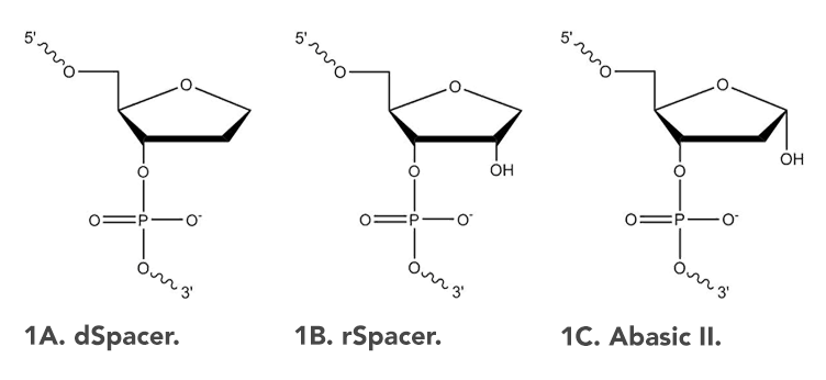 D-OLI16PS-abasic-F1 art109-MH-abasic-Fig1