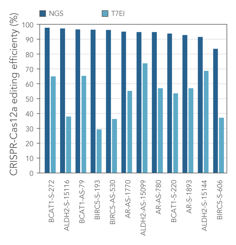 D-GE17CC-Cpf1alternative-F6 art166-CC-GE-Cpf1-Fig4_2