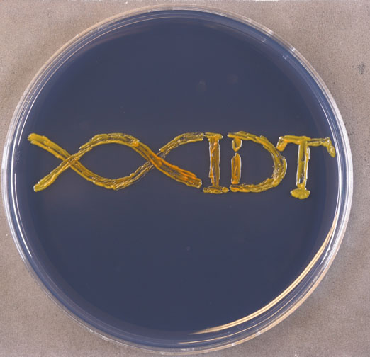 D-SB12RP-igem-F1 art5-Fig-JohnsHopkins-IDTLogo