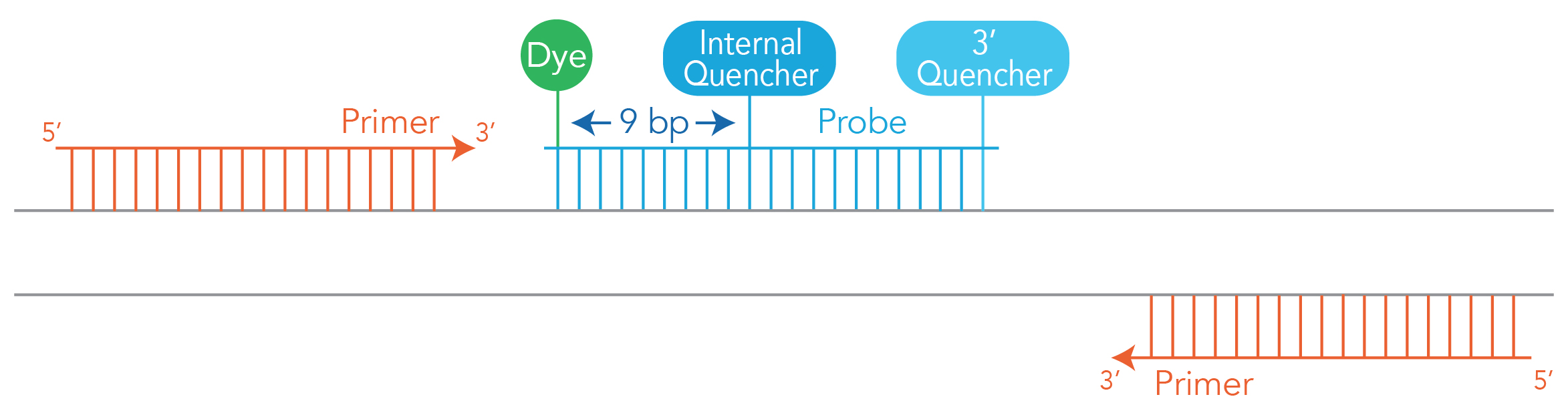 D-PCR15PS-sensitivityandprecision-F1 art79-PS-DQPs_Fig1