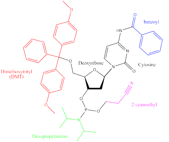 Phosphoramidite monomer for oligos