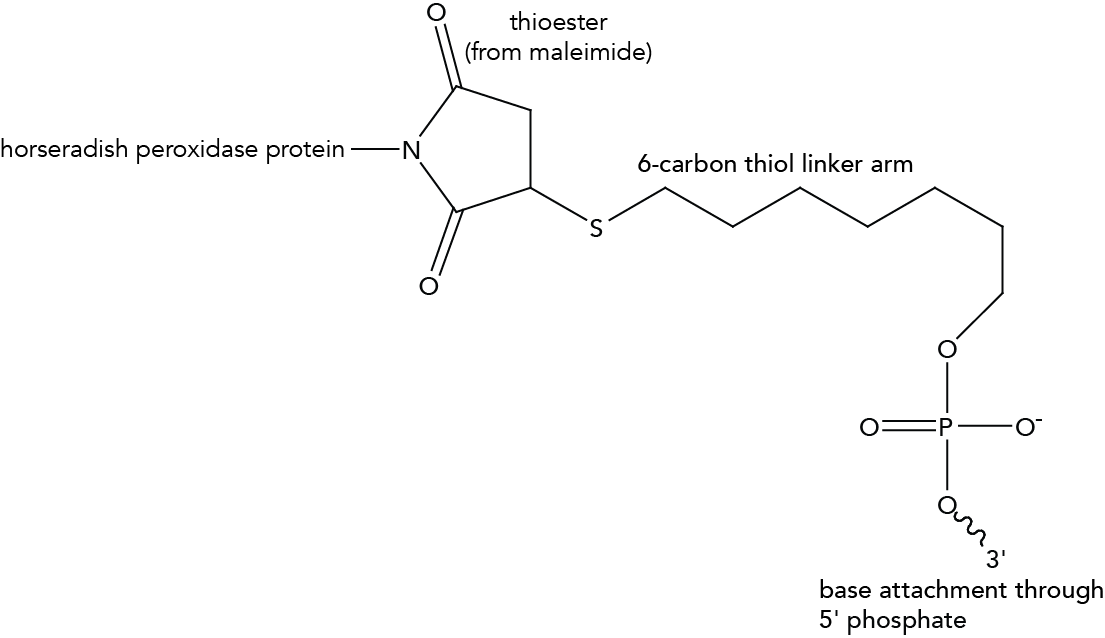 D-OLI15PS-HRP-F1 art85-MH-HRP-Fig1
