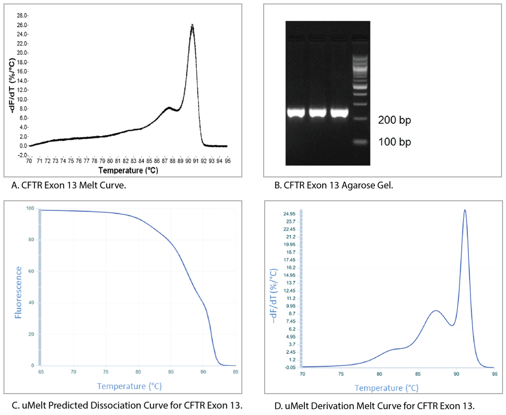 Explaining Multiple Peaks In QPCR Melt Curve Analysis | IDT