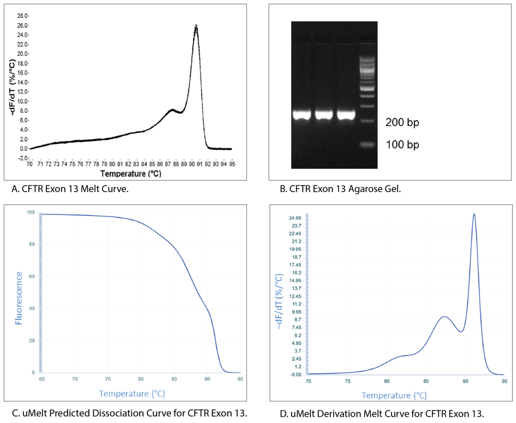 Comparative melt curve analysis of CFTR exon 13 amplicon