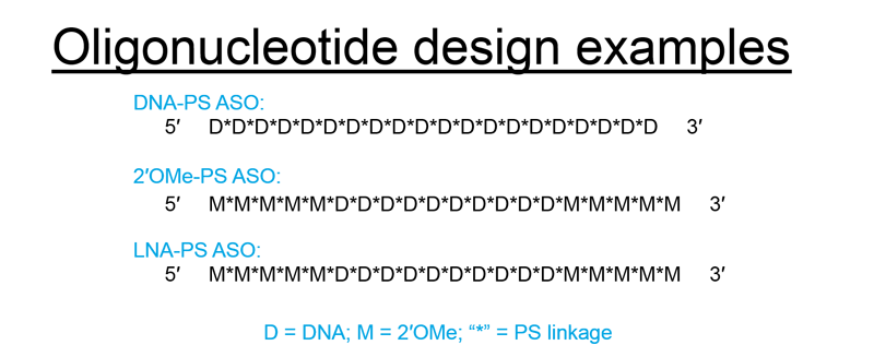 D-FG15CC-lncRNAknockdown-F2 art92-CC-lncRNA tips-Fig2