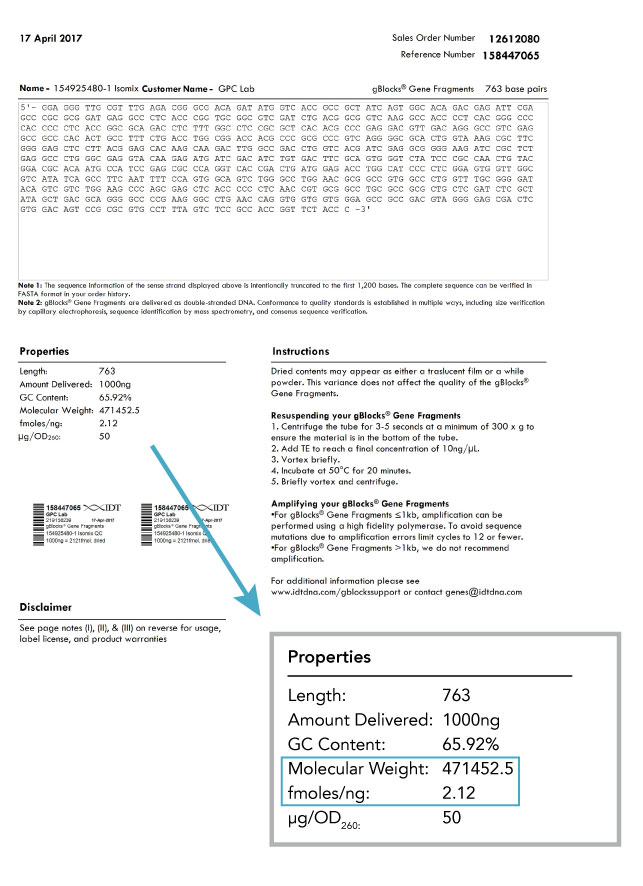 D-SB17LT-gblock spec-F1 art95-PT-gBlocks_handing-spec-sheet