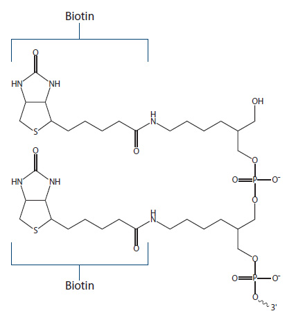 Biotin Fig 4