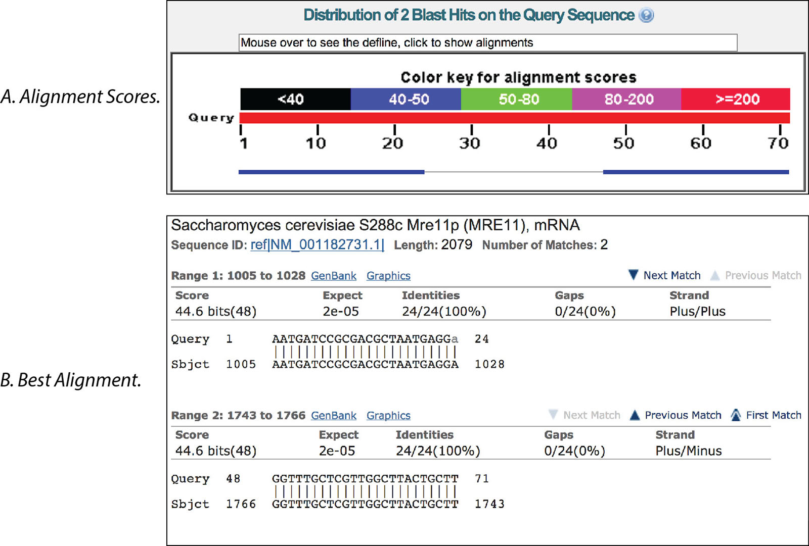NCBI primer BLAST sequence alignment
