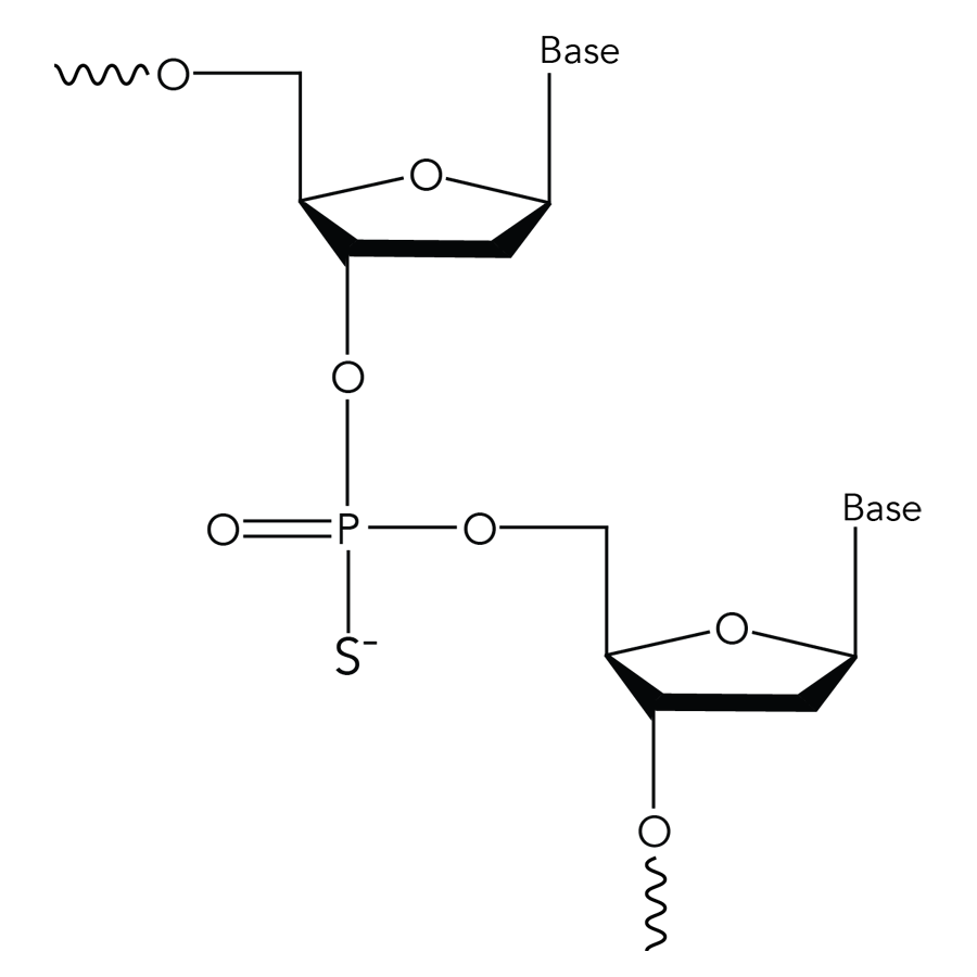 D-FG13CC-modulatenoncoding-F1 D-FG13CC-modulatenoncoding-F1