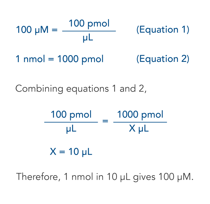 molecular equation calculator