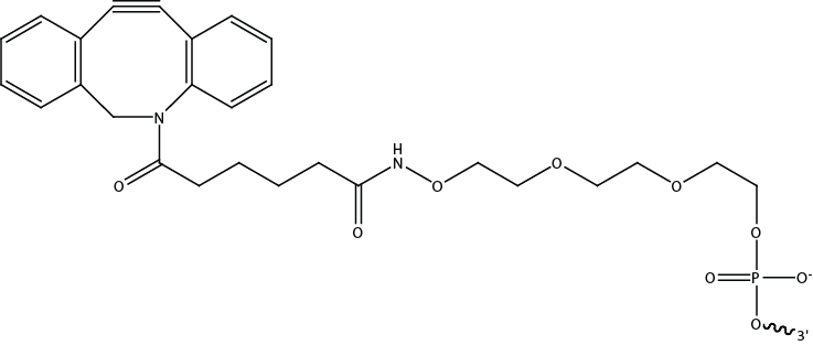 D-OLI15PS-nonstandarmod-F3 DOart30-MH-Off-catalog_Fig2B