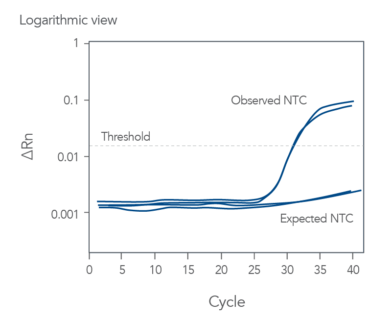 Amplification of the No-Template Control (NTC)