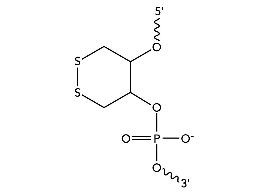 Figure3_Internal-dithiol