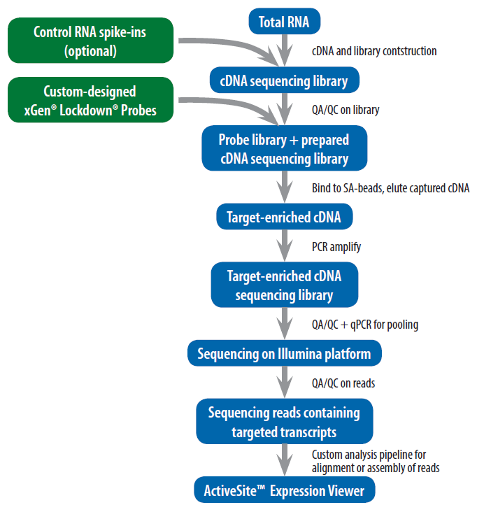 D-NGS14RP-cofactor-F3 Targeted RNA Capture