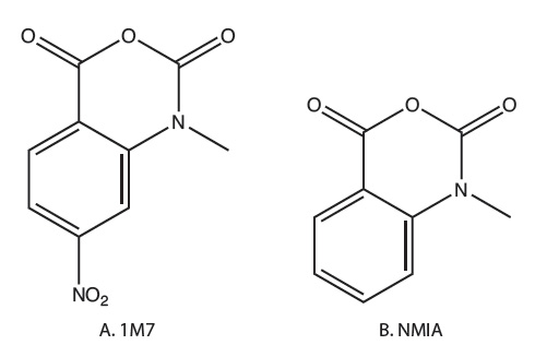 D-OLI12RP-shape-F1 YR_SHAPE_Figure 1
