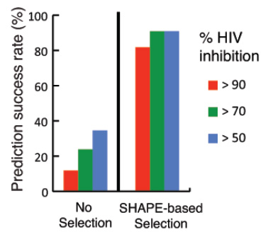 D-OLI12RP-shape-F4 YR_SHAPE_Figure 4
