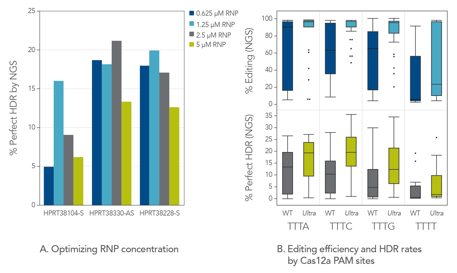 Cas12a Ultra RNP concentration and PAM sequence affect percent editing and perfect HDR rates.