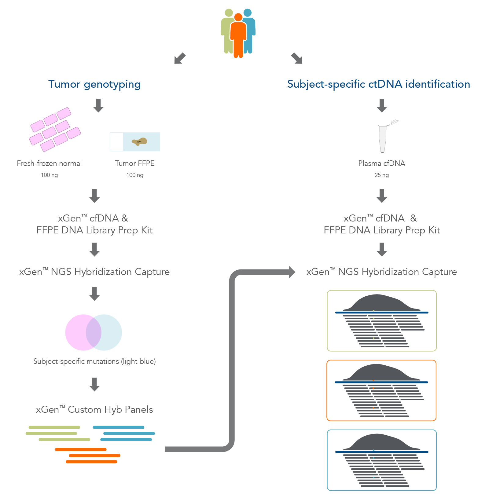 Target Enrichment With Hybridization Capture | IDT