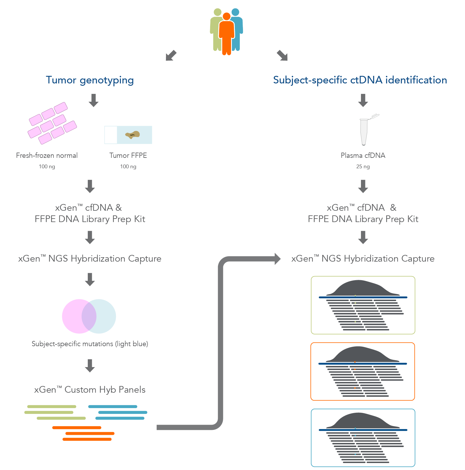 Research workflow for using normal, FFPE, and cfDNA for hybridization capture.