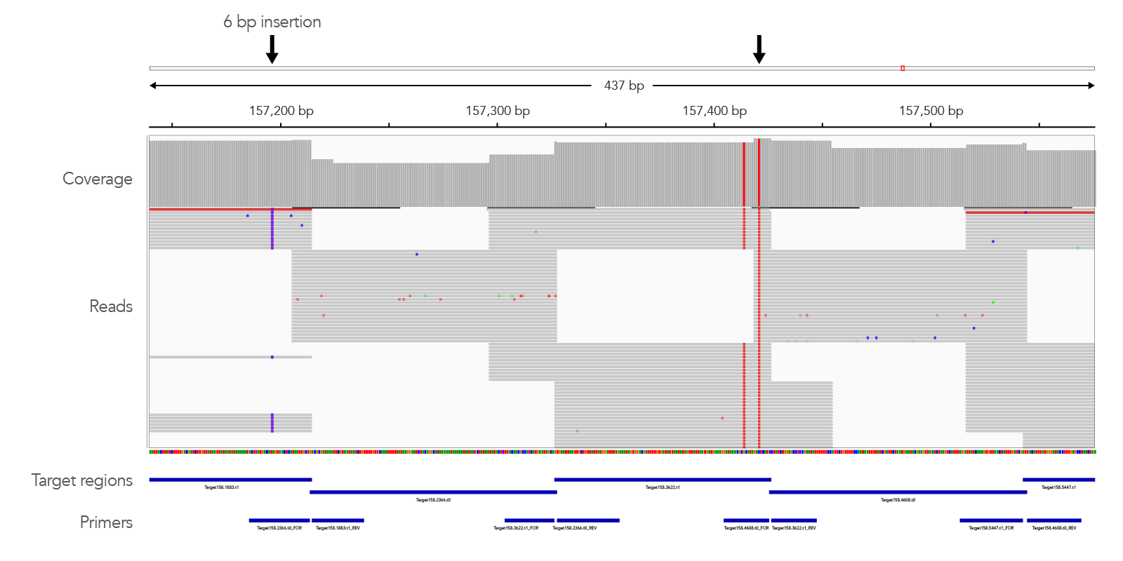 The xGen Monkeypox Virus Amplicon Panel maintains genomic coverage despite mutations at primer binding sites.