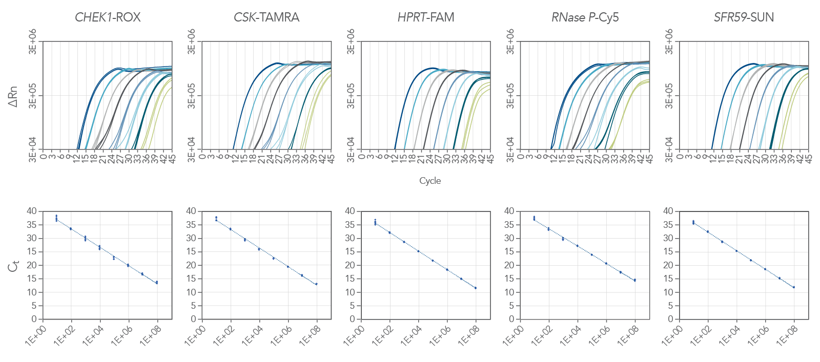 PrimeTime One-Step 4X Broad-Range Master Mix provides multiplexed (5-plex) RNA detection over 8 logs of RNA template