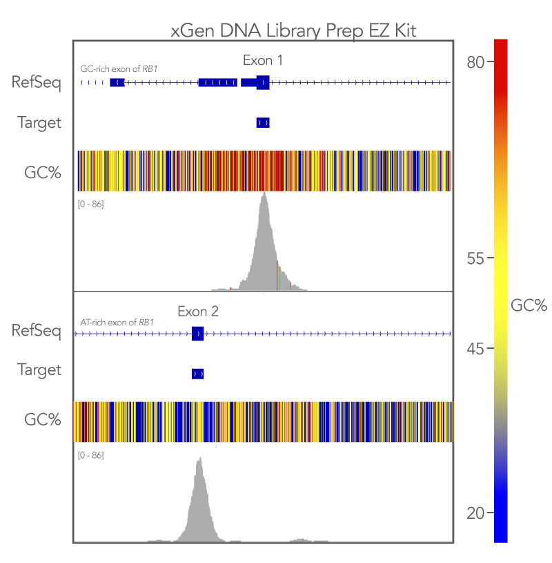 Whole Exome Sequencing Panel, Produts