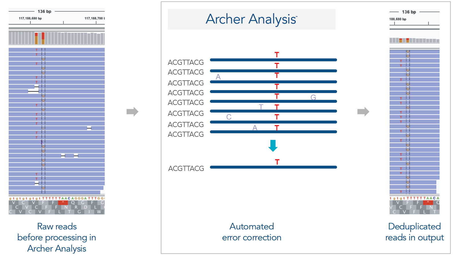 Archer Analysis automatically deduplicates reads
