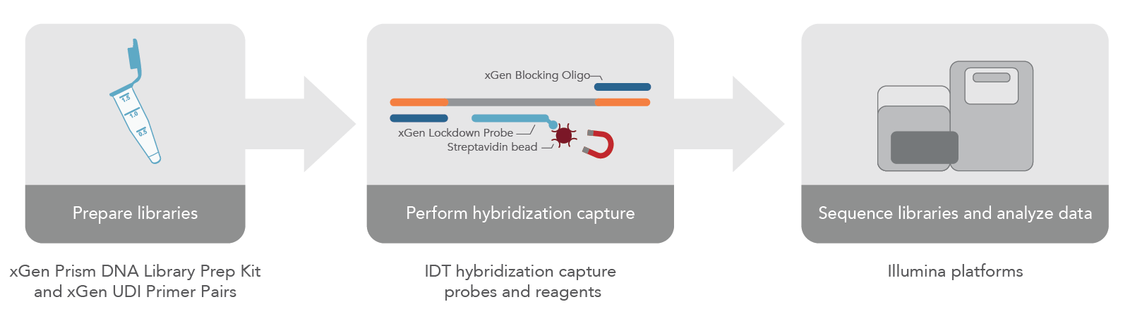 XGen Prism DNA Library Prep Kit For NGS | IDT