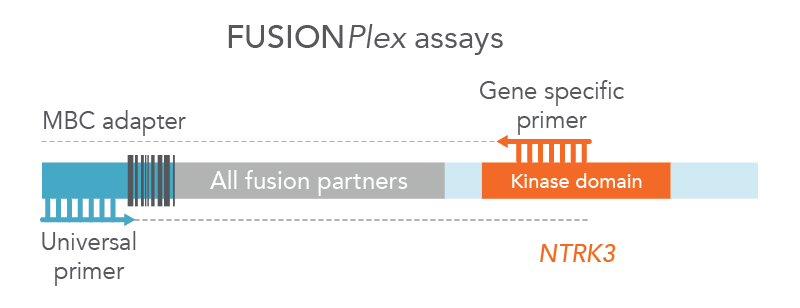 FUSIONPlex assays detect both known and novel fusions