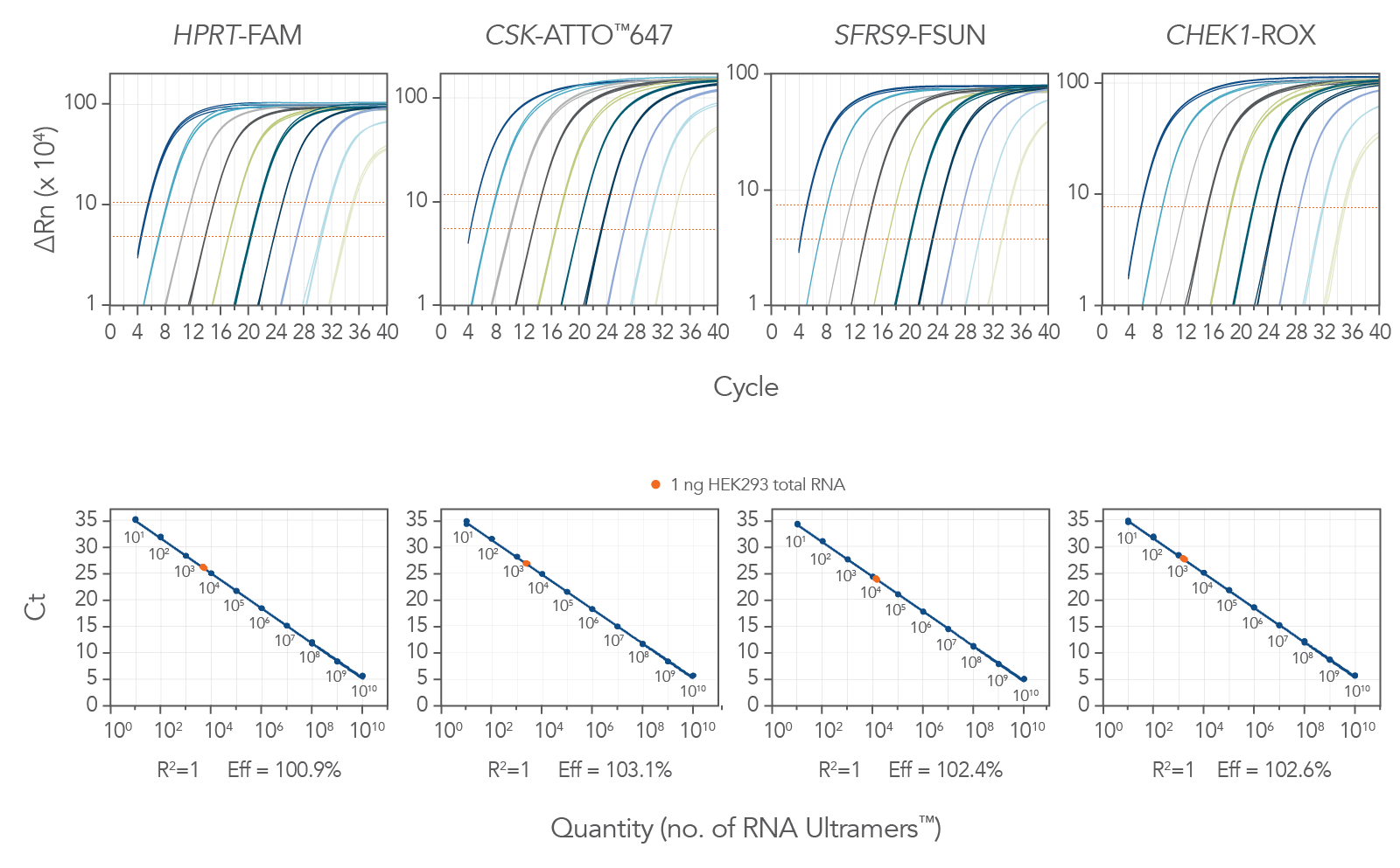 PrimeTime RT-qPCR Mix | IDT