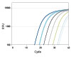 Amplification Curve - Qiagen QuantiTect Probe PCR Kit