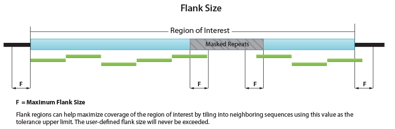 Flanking Region